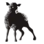 Nordic Sheep NO