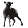 Nordic Sheep NO