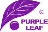 Purple Leaf DE logo